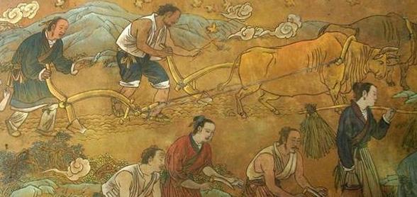 中国古代农业演变历程解析