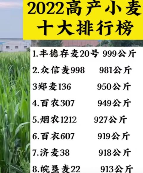 中国小麦品种大全及系谱解析