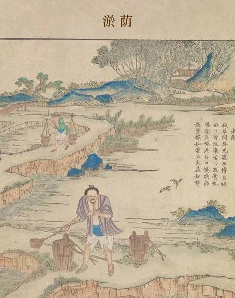 中国耕作制度演变历程解析