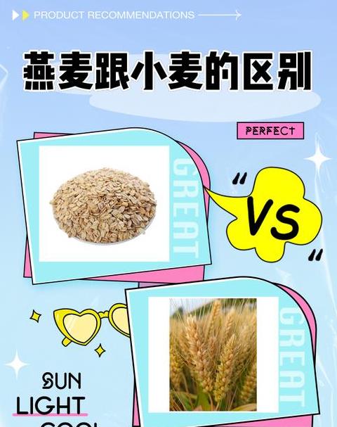 冬小麦与春小麦种植差异解析