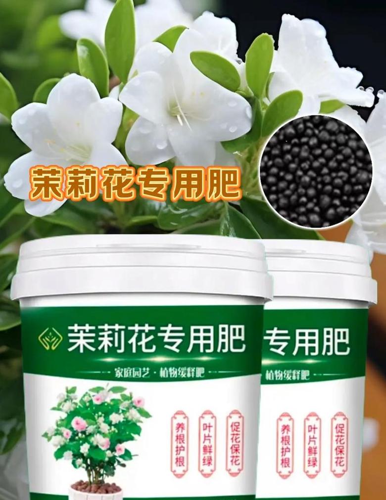 茉莉花肥料种类盘点指南
