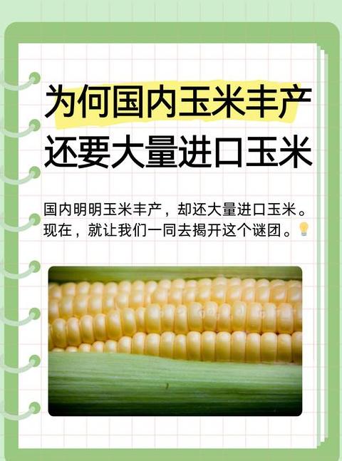 北方小麦玉米、南方水稻：揭秘土壤与气候的种植秘密