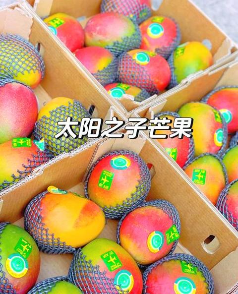 全球十大最贵水果盘点