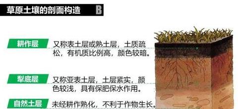 耕地剥离与再利用：保护与复垦的关键措施