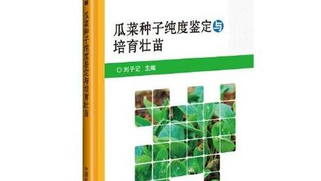 西红柿高产种植关键技术解析