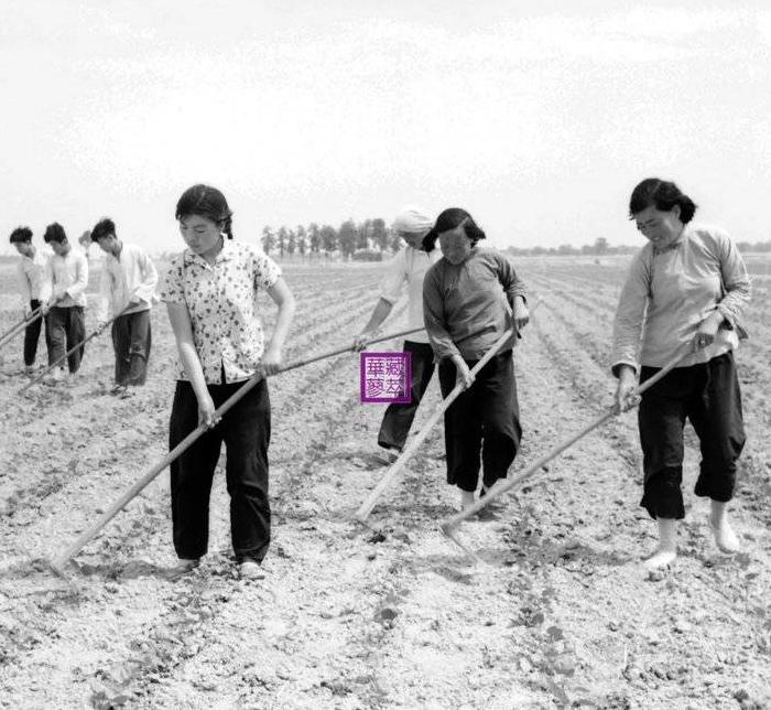 免耕农业分类及土壤保护方法详解