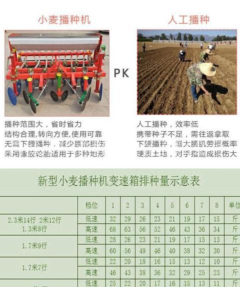 霜降农事顺口溜：传统节气播种收获指南