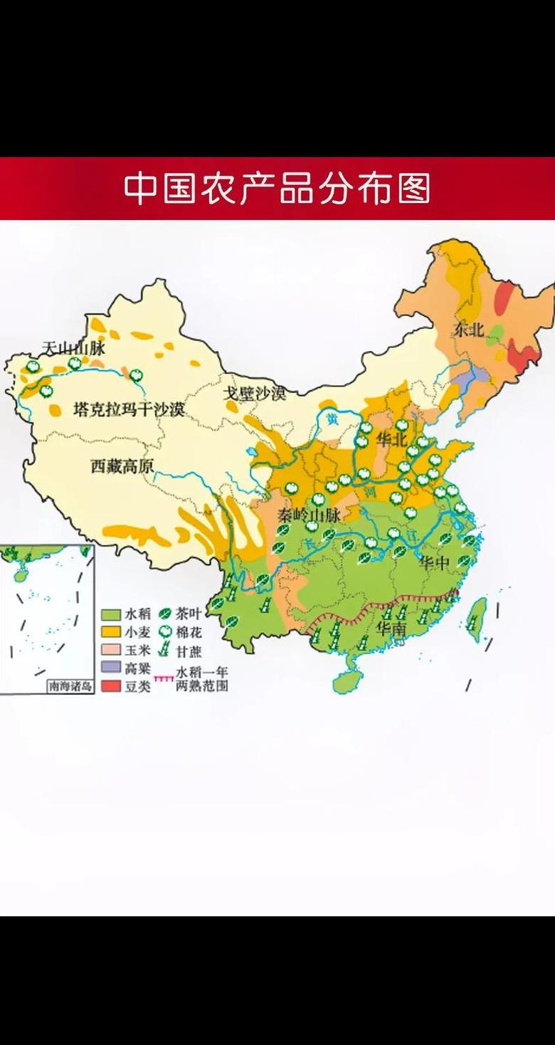 春小麦与冬小麦：种植差异详解