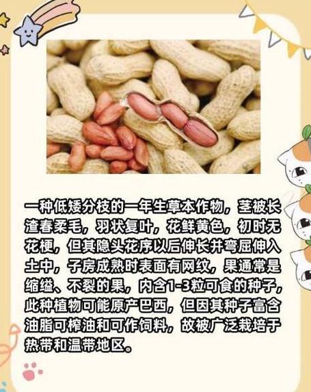 落花生播种的读音原因