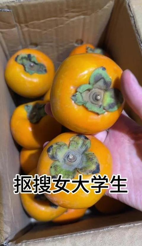 在校园开水果店的威胁分析