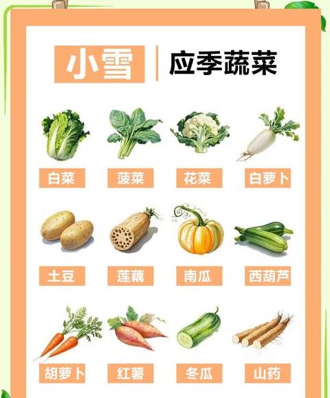冬季应季蔬菜水果盘点指南
