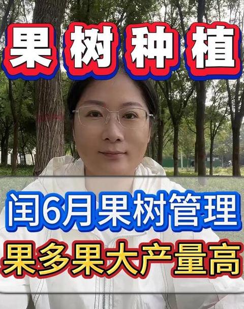 六月适合种什么水果树