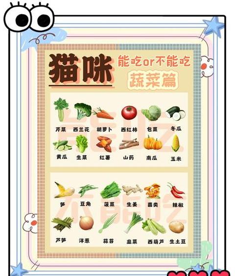泰迪狗蔬菜水果选择指南及注意事项