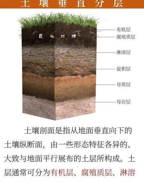 土地管理法释义：耕地保护与耕作层再利用解析