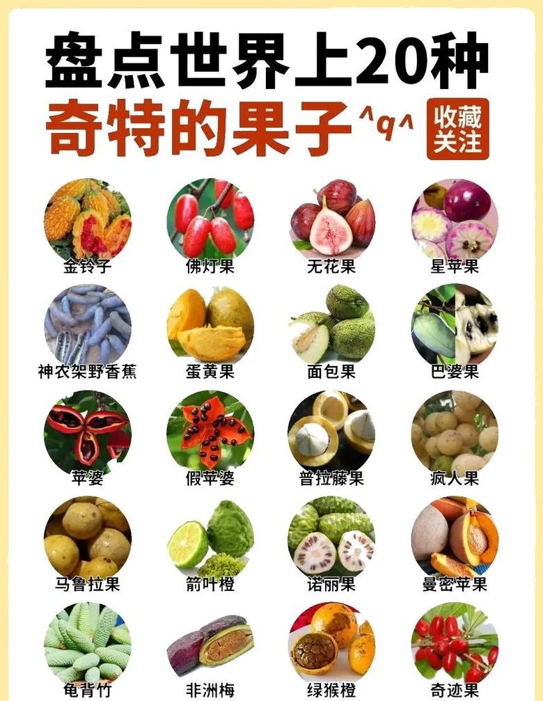 广东水果十二个月大全