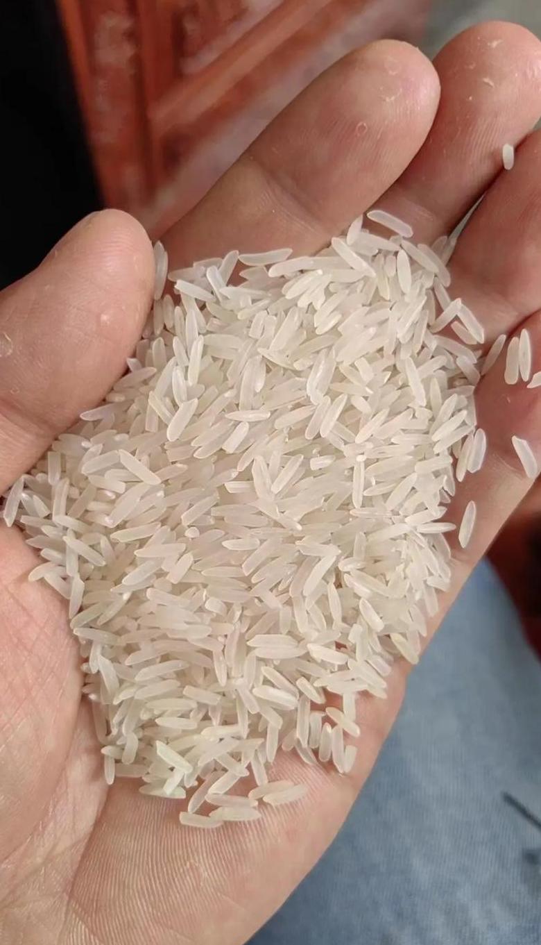 水稻亩产量解析与成本分析
