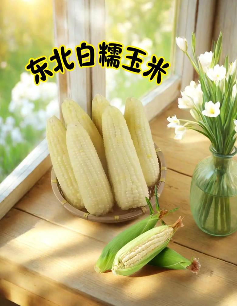 减肥适宜吃甜糯玉米吗