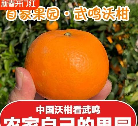 当季水果种类大盘点
