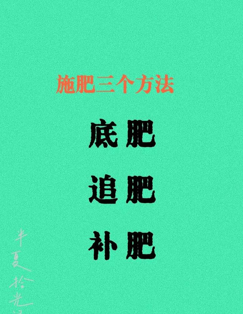 蔬菜施肥最佳时间解析