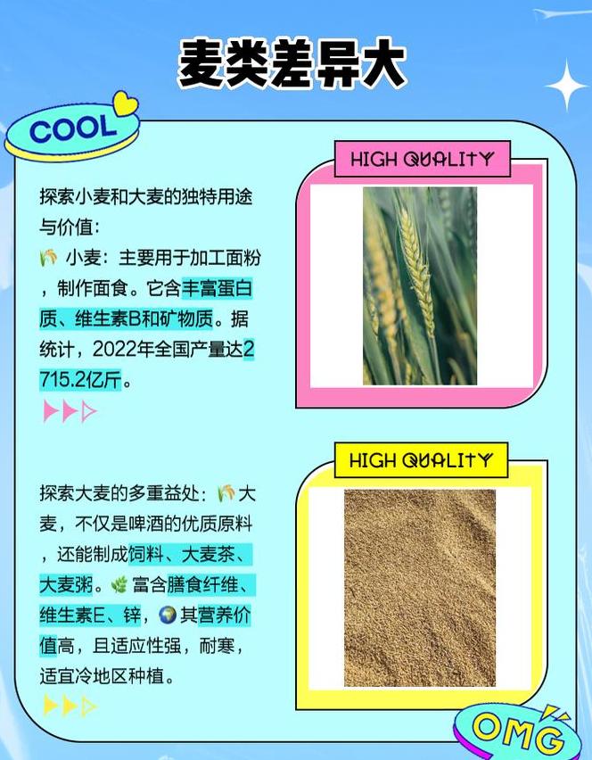 冬小麦与春小麦种植差异解析