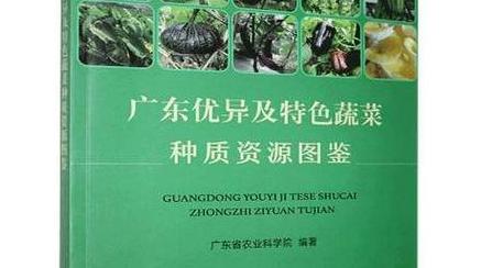 广东蔬菜名称大全