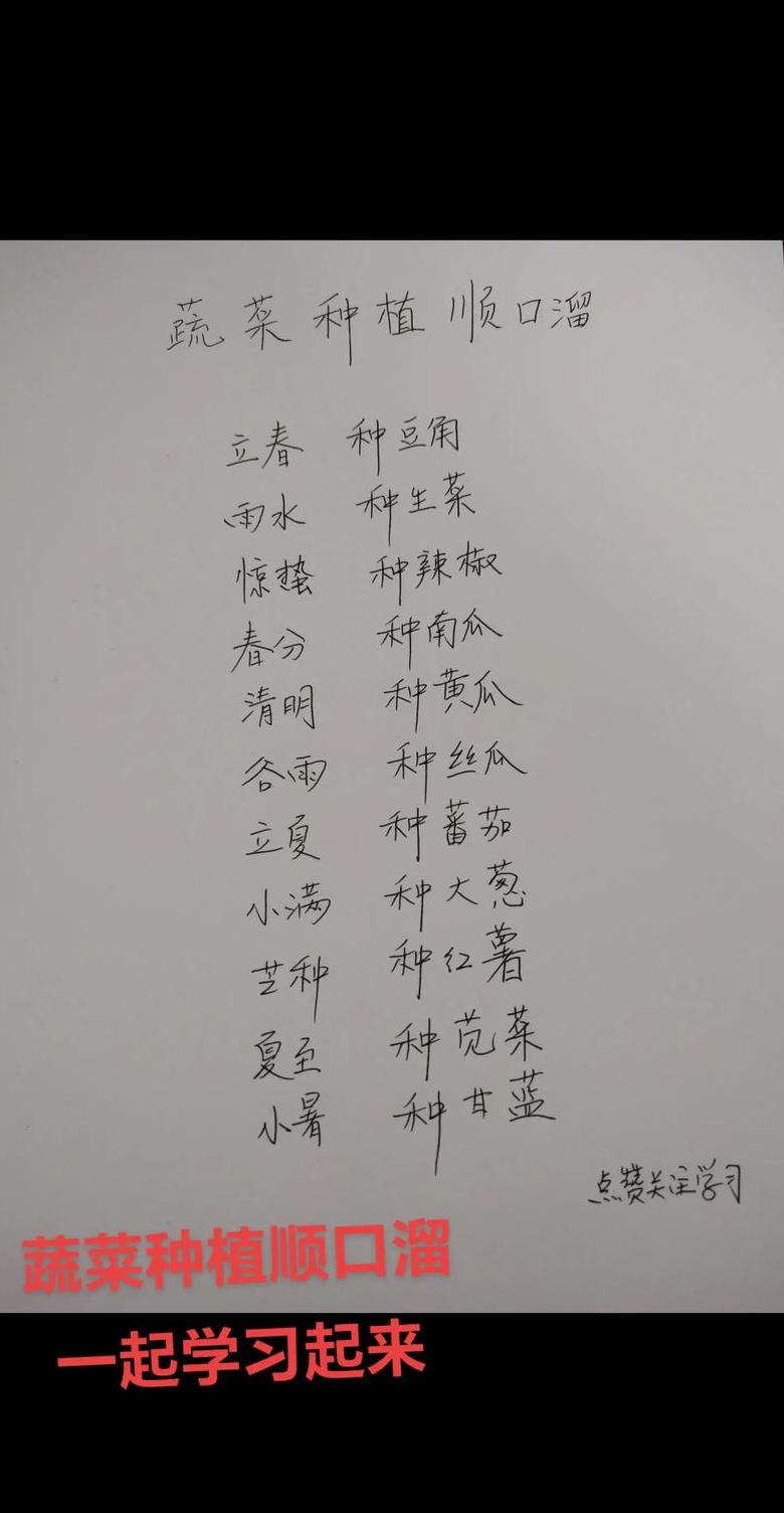 揭秘大棚种植与四季蔬菜的顺口溜，传统智慧与现代农业的碰撞