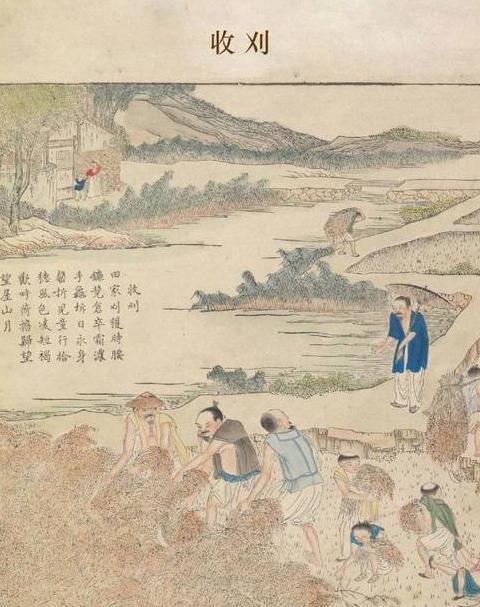 中国传统农业耕作方式揭秘：铁犁牛耕与土地制度的演变