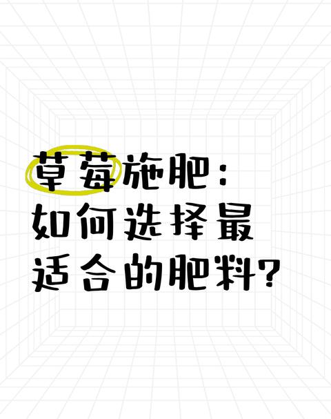 红薯钾肥施用技巧提升产量