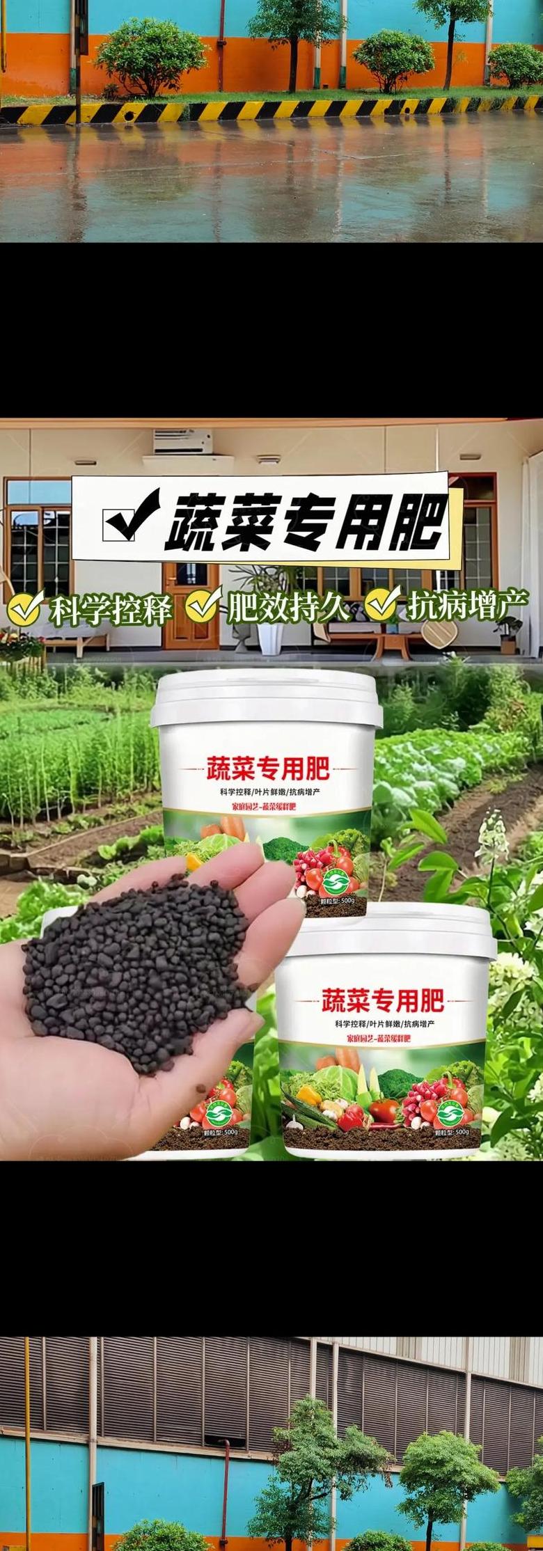 菜施肥什么时间更好