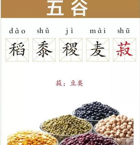 五谷稻黍稷麦菽作物解析