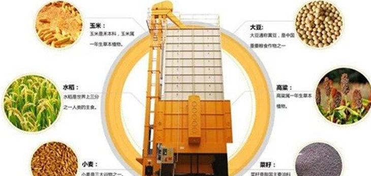 玉米干燥技术及设备标准解析