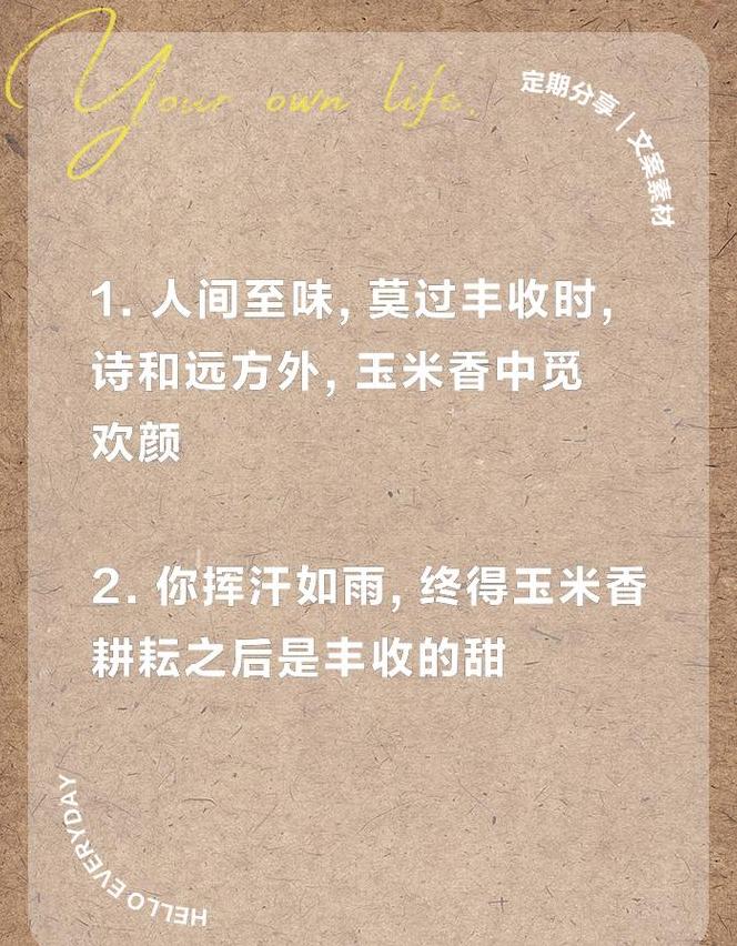 金穗飘香颂丰收，玉米满仓映田园