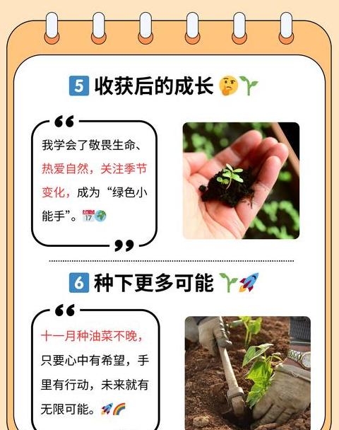 农作物种植全流程解析：耕作、播种、施肥到收割