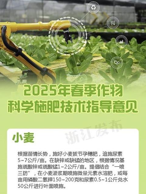 科学施肥技巧，土壤与旱地施用攻略