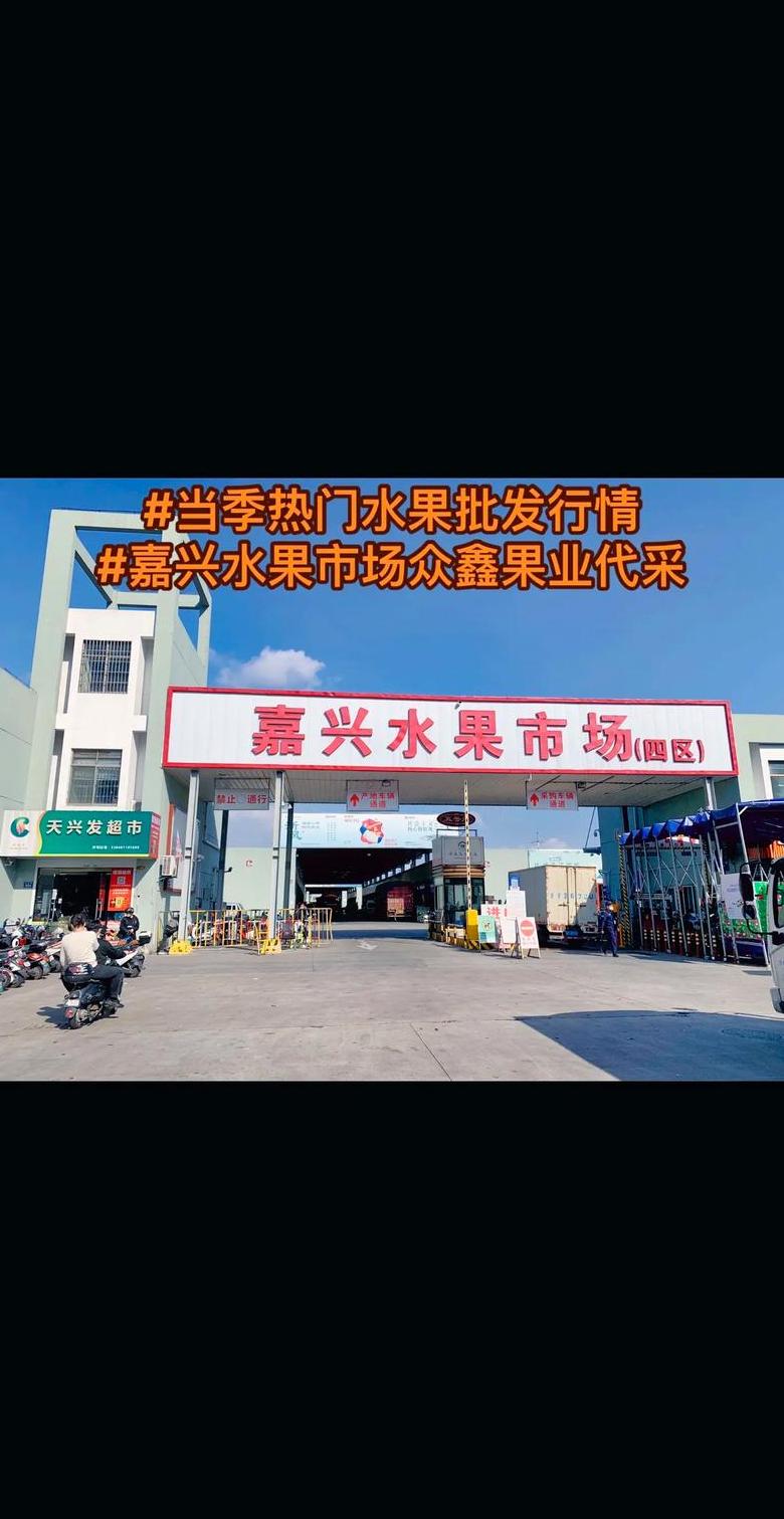 青岛东丁克斯：青岛最大水果批发市场揭秘