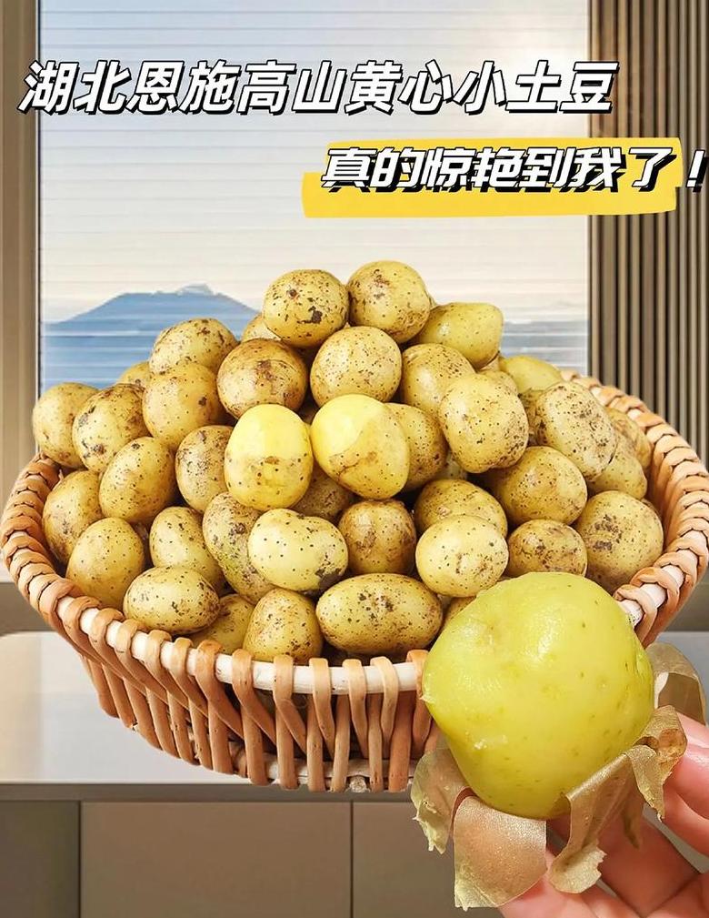 蒸土豆时长及营养功效全解析