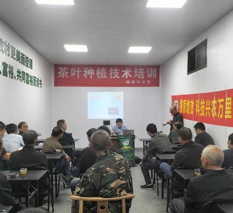 山东临沂蔬菜大棚种植培训学校推荐