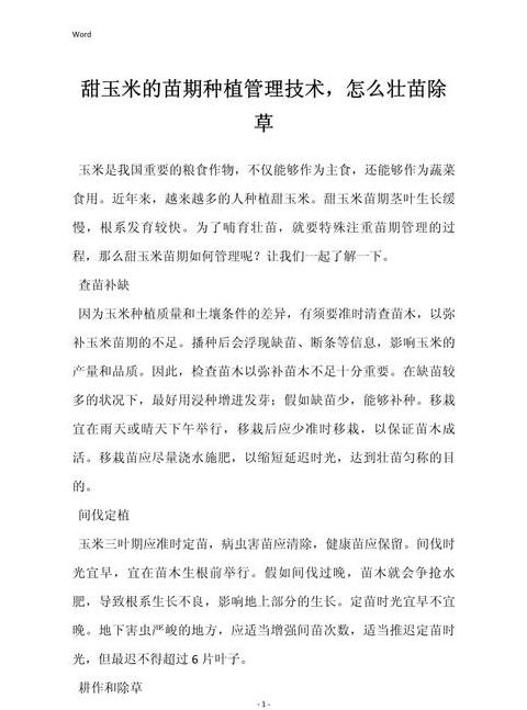甜玉米种植技巧全解析