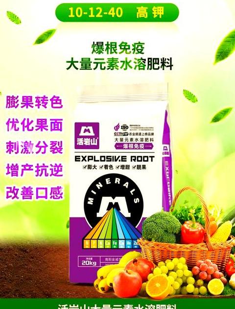 水稻的栽培和管理技术