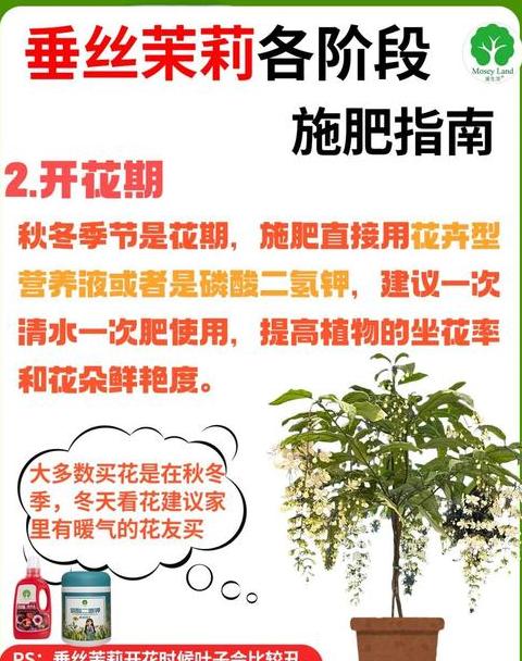 下雨后几天可以施肥
