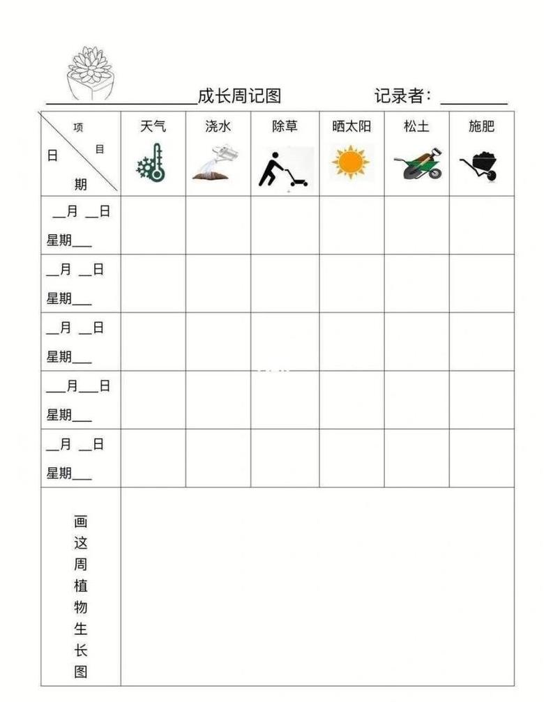 植物记录卡作文写作技巧分享