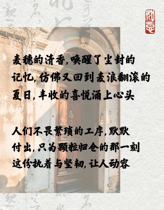 农民收麦子的句子