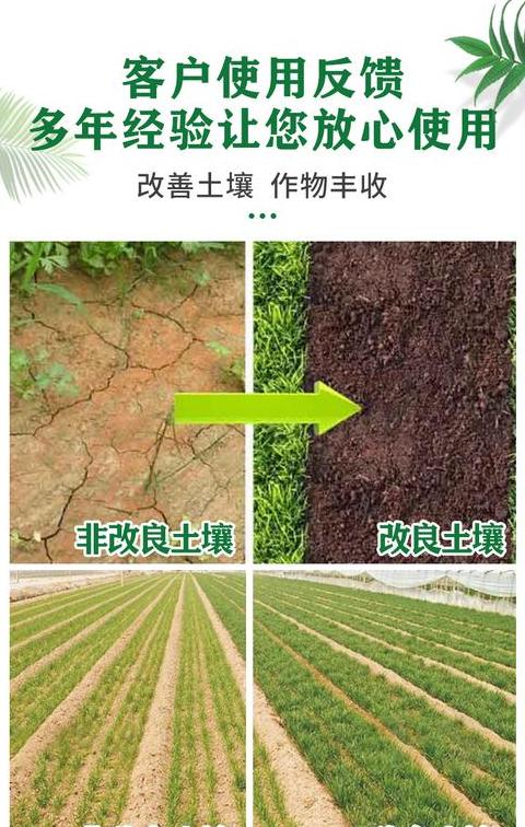 高效花盆土改良告别板结，土壤焕新秘籍
