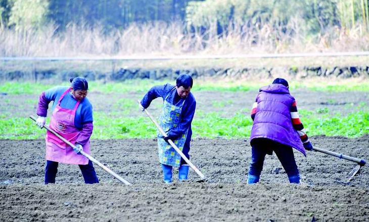 基本耕作方式解析与分类