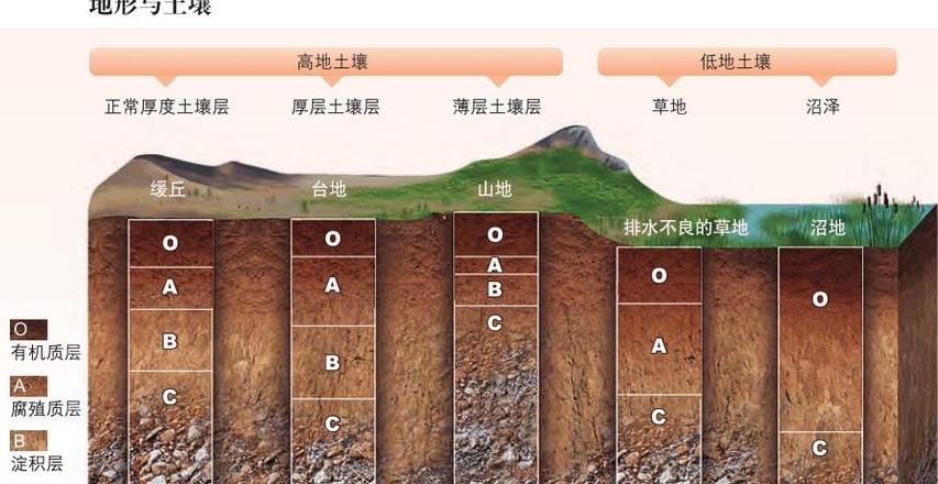 土壤耕作方法全解析：秋季、夏季、春季详解