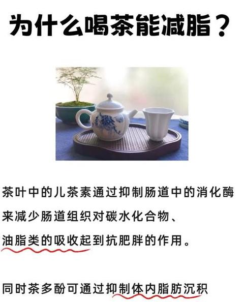 减肥茶排行榜：10款热门减肥茶助力瘦身