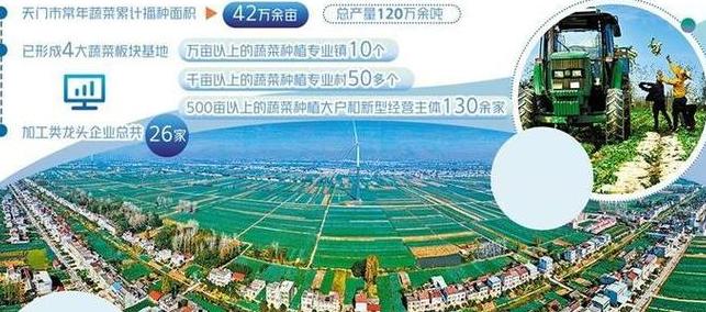 中国核桃种植基地大盘点：揭秘国内知名核桃产区