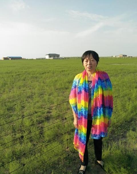 《草原情》歌谱