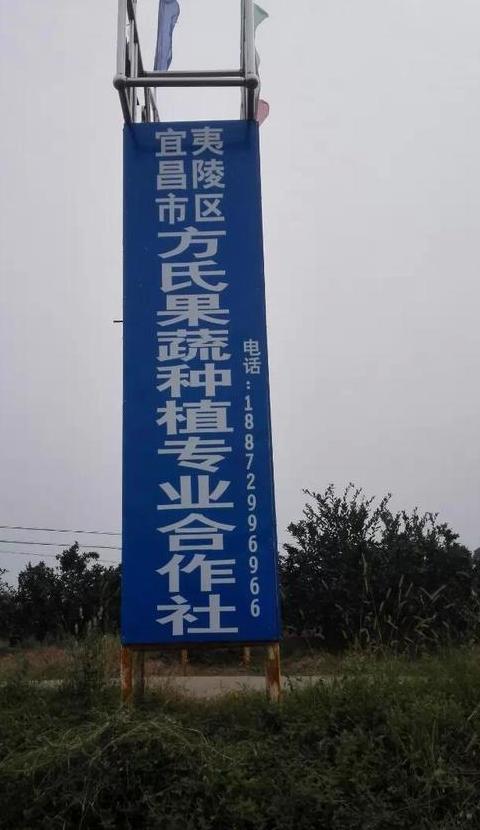 农业种植合作社加盟