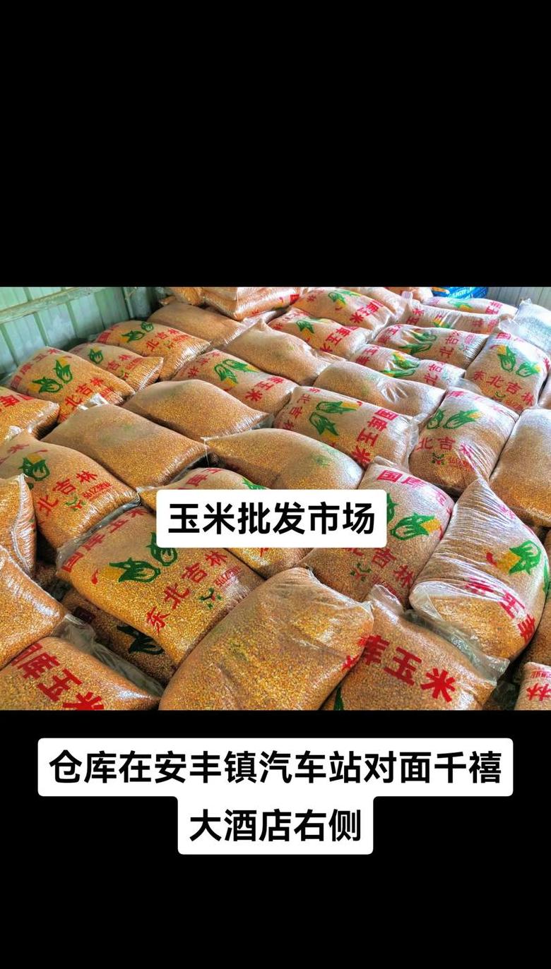 吉单558玉米种子评测：性能与种植要点